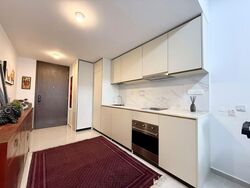 Kopar At Newton (D9), Apartment #545824321